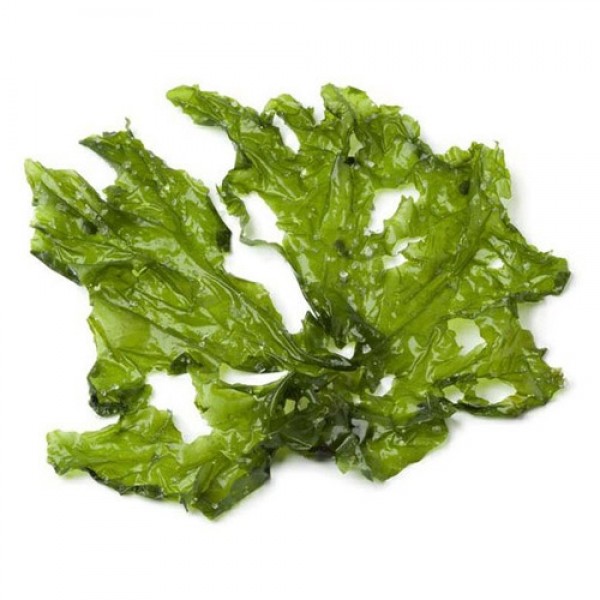 Alga lechuga de mar deshidratada