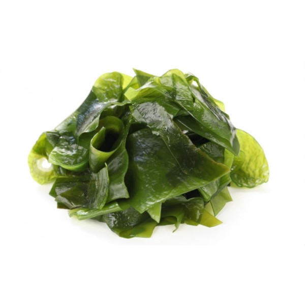 Alga Wakame fresca conservada en sal
