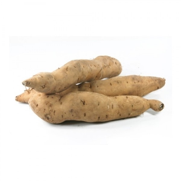 Boniato Blanco Ecológico - Verduras Ecológicas Valencia