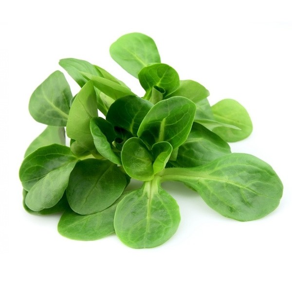 Canónigos en Bandeja