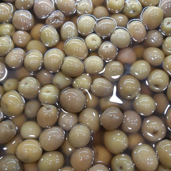Aceituna Arbequina