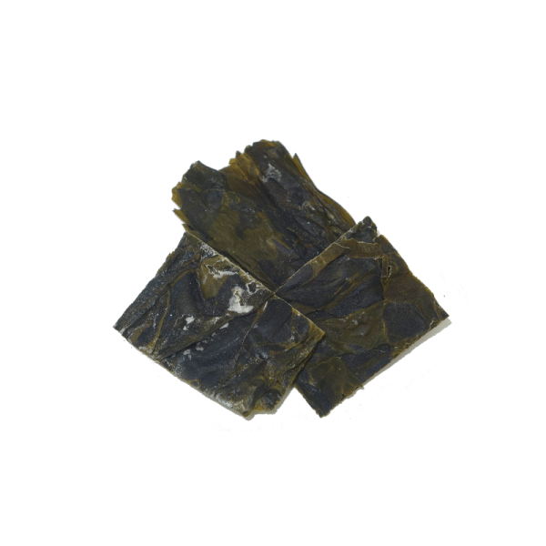 Alga Kombu deshidratada