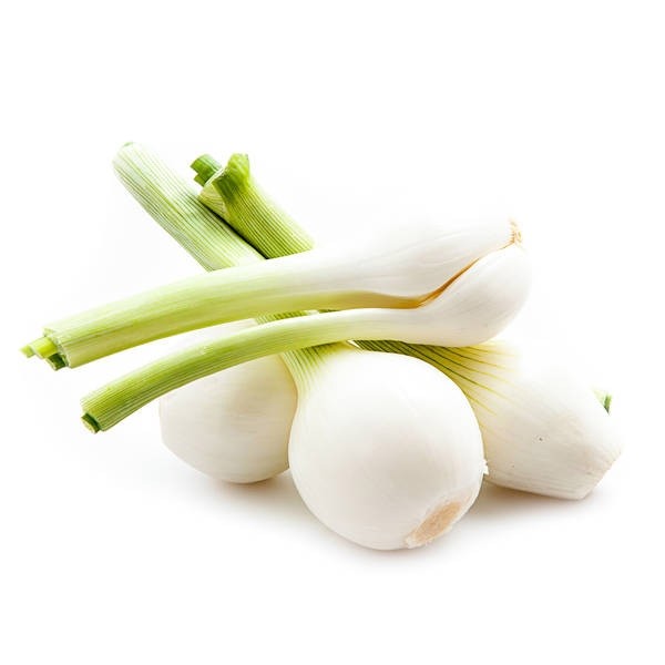 Cebolla Tierna Ecológica