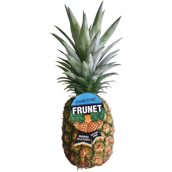 Piña Frunet