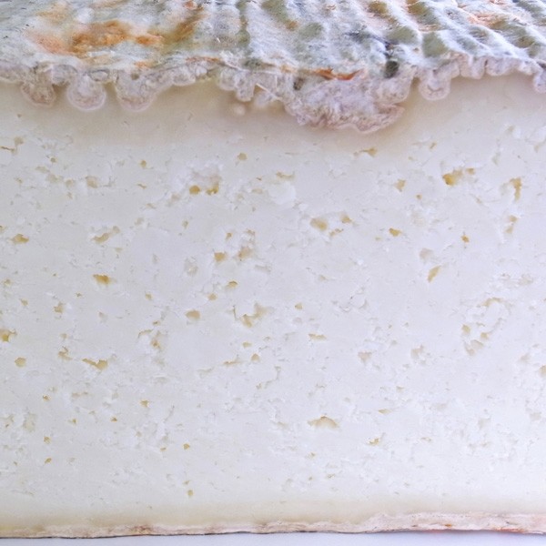 Queso Castrocastillo