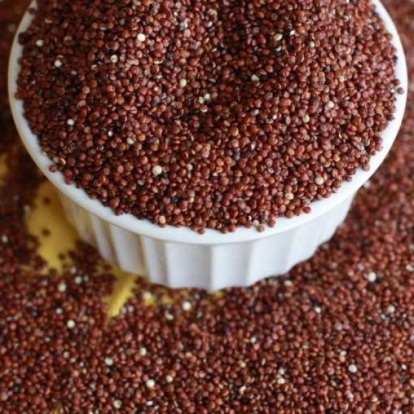 Quinoa Roja