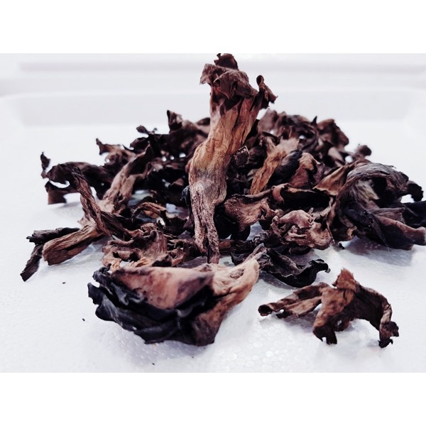 Seta Trompeta de los muertos deshidratada