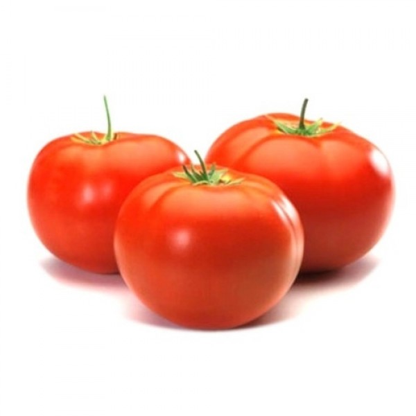 Tomate Redondo Ecológico