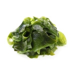 Algas Valencia Algas Valencia