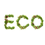 Comida Ecológica Valencia Comida Ecológica Valencia