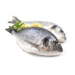 Pescadería Valencia Pescadería Valencia